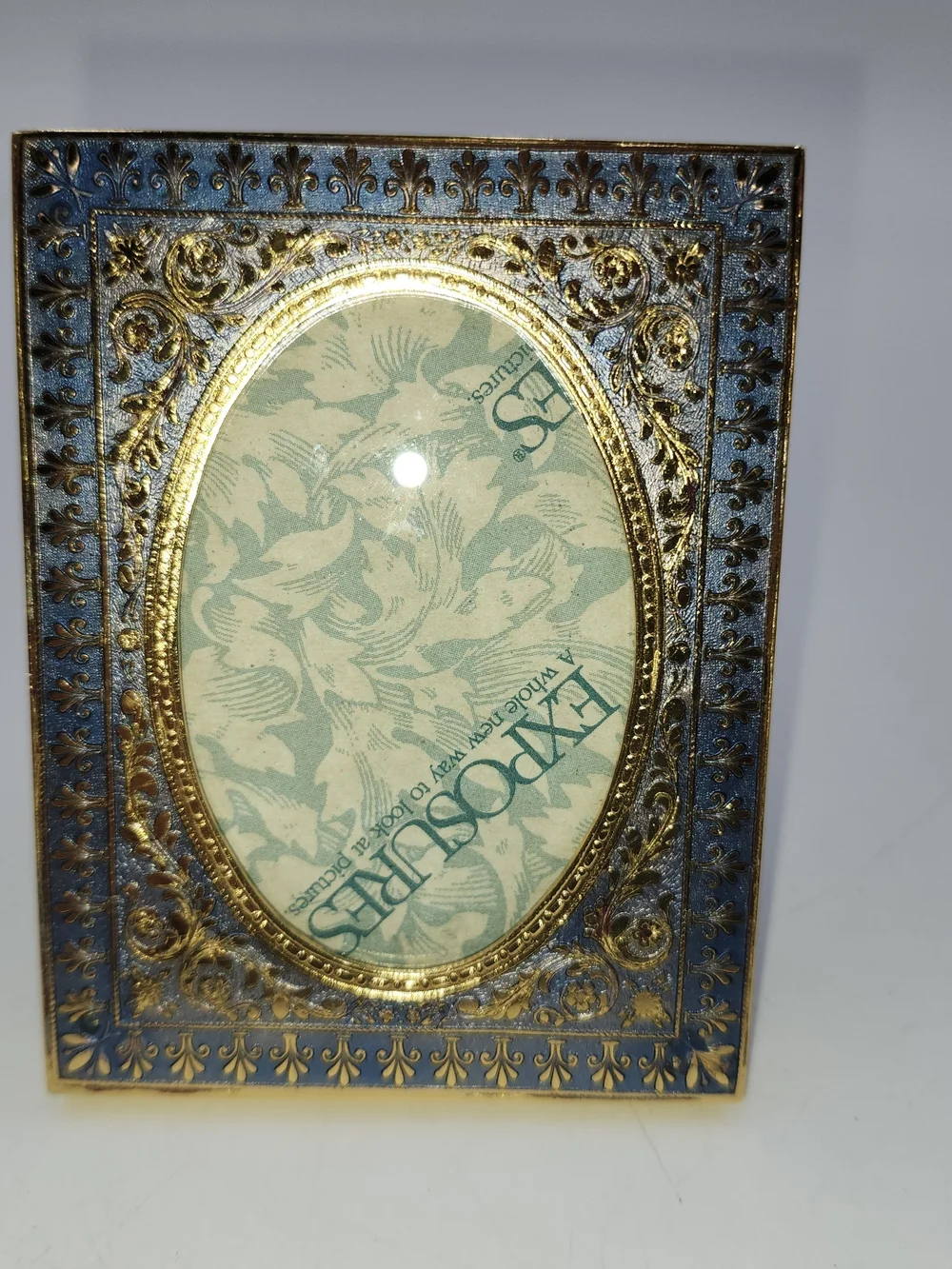 Expressions Gold & Blue Ornate Oval Picture Frame - Home Accents